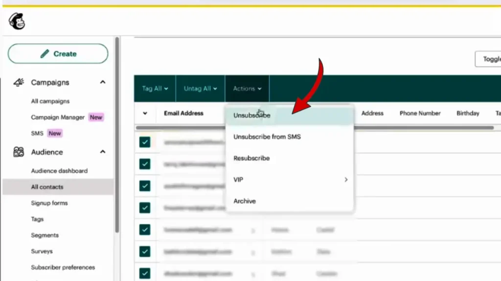 حذف البريد المحدد فى MailChimp
